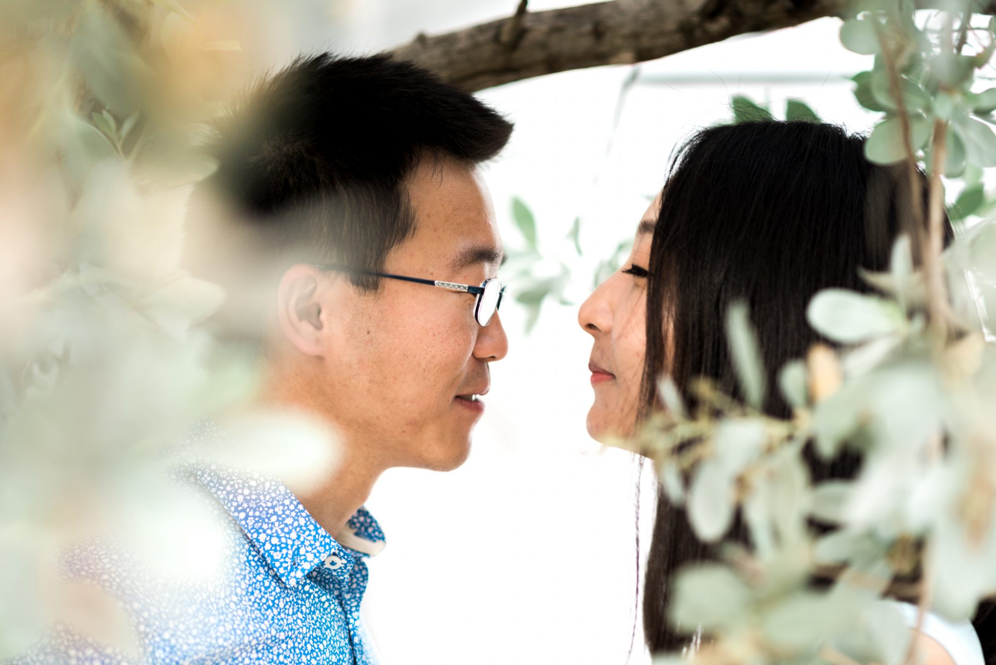 Xiao and Ying's Sunset Engagement Session under an eucalyptus tree in Key West, FL.
