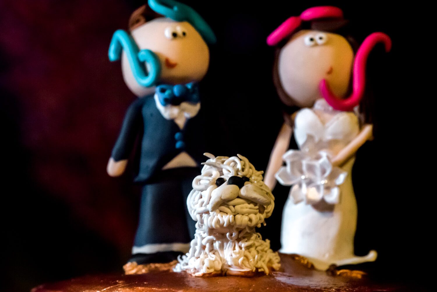 Key West Wedding Photographer - Freas Photography captures Wendy & Michael with their dog on their wedding cake.