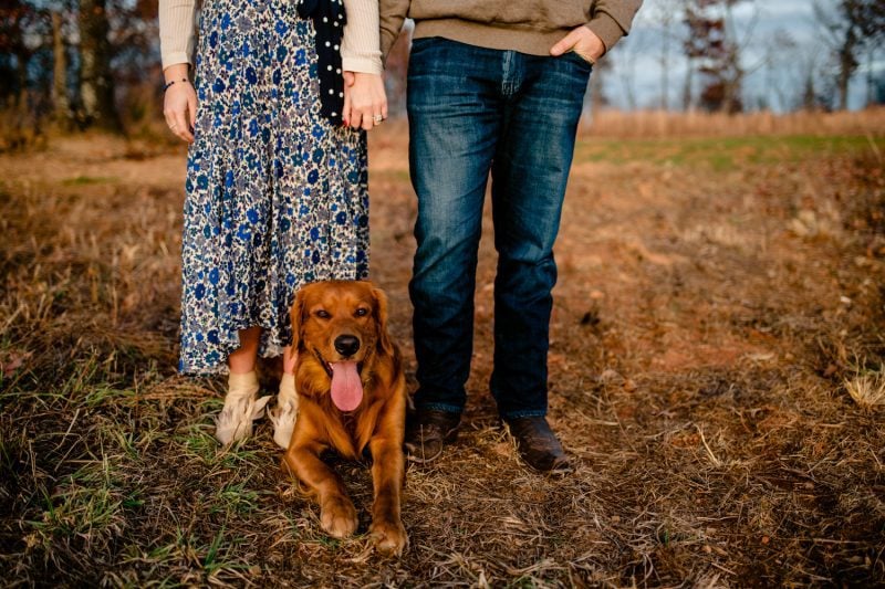 An Asheville engagement photographer captures a couple, together with their dog, in a picturesque field.