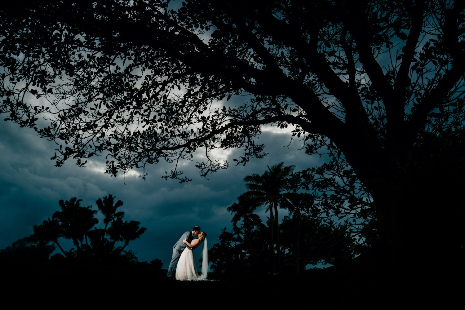 A bride and groom kiss under a tree during their stormy sky wedding.