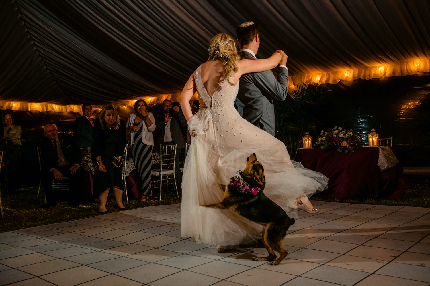 A bride and groom dancing with their dog at a Key West wedding.