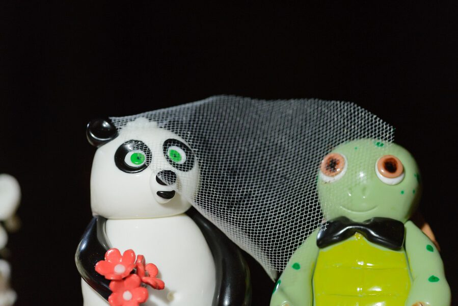 Two figurines of a panda and a tortoise, perfect for decorating your key west wedding.