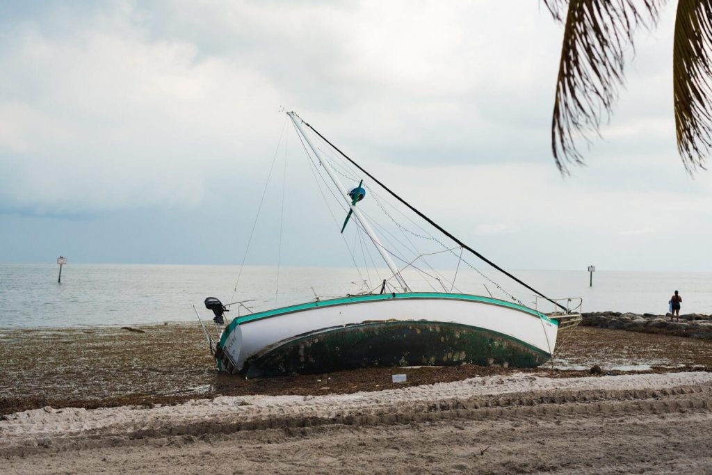 A boat damaged by Hurricane Irma stranded on the sandy shore with a palm tree in the background.