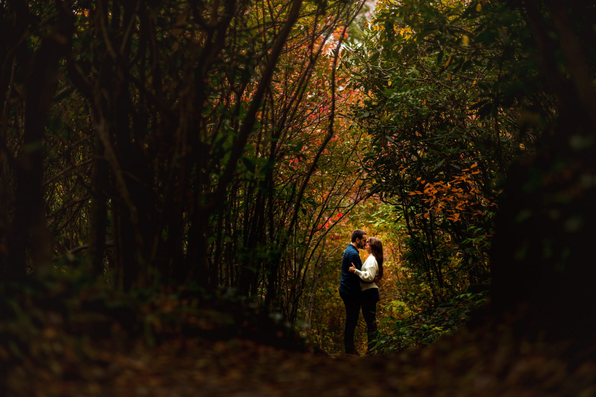 couple walking in fall colors at graveyard fields during asheville engagement session