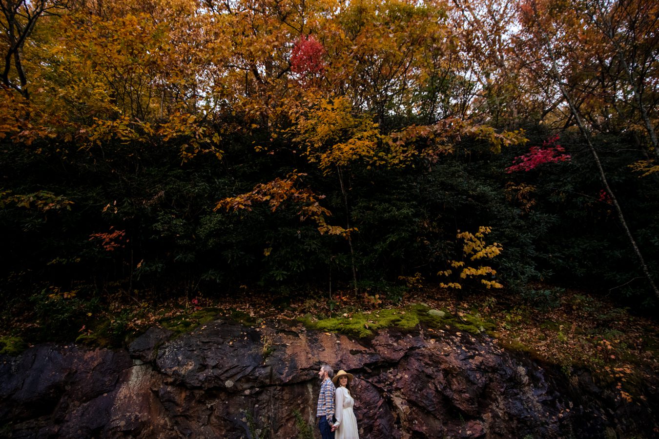 newly engaged couple engagement session blue ridge parkway during fall