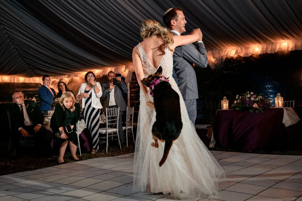 dog jumping and biting brides wedding dress during the first dance of key west wedding