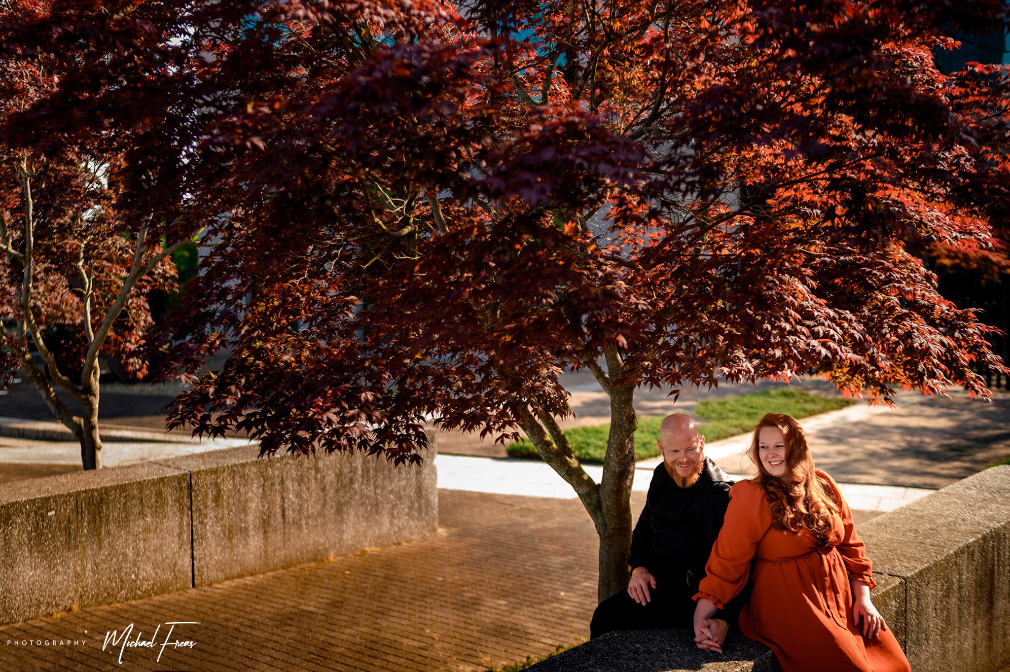 engaged couple sitting underneath maple tree in downtown asheville