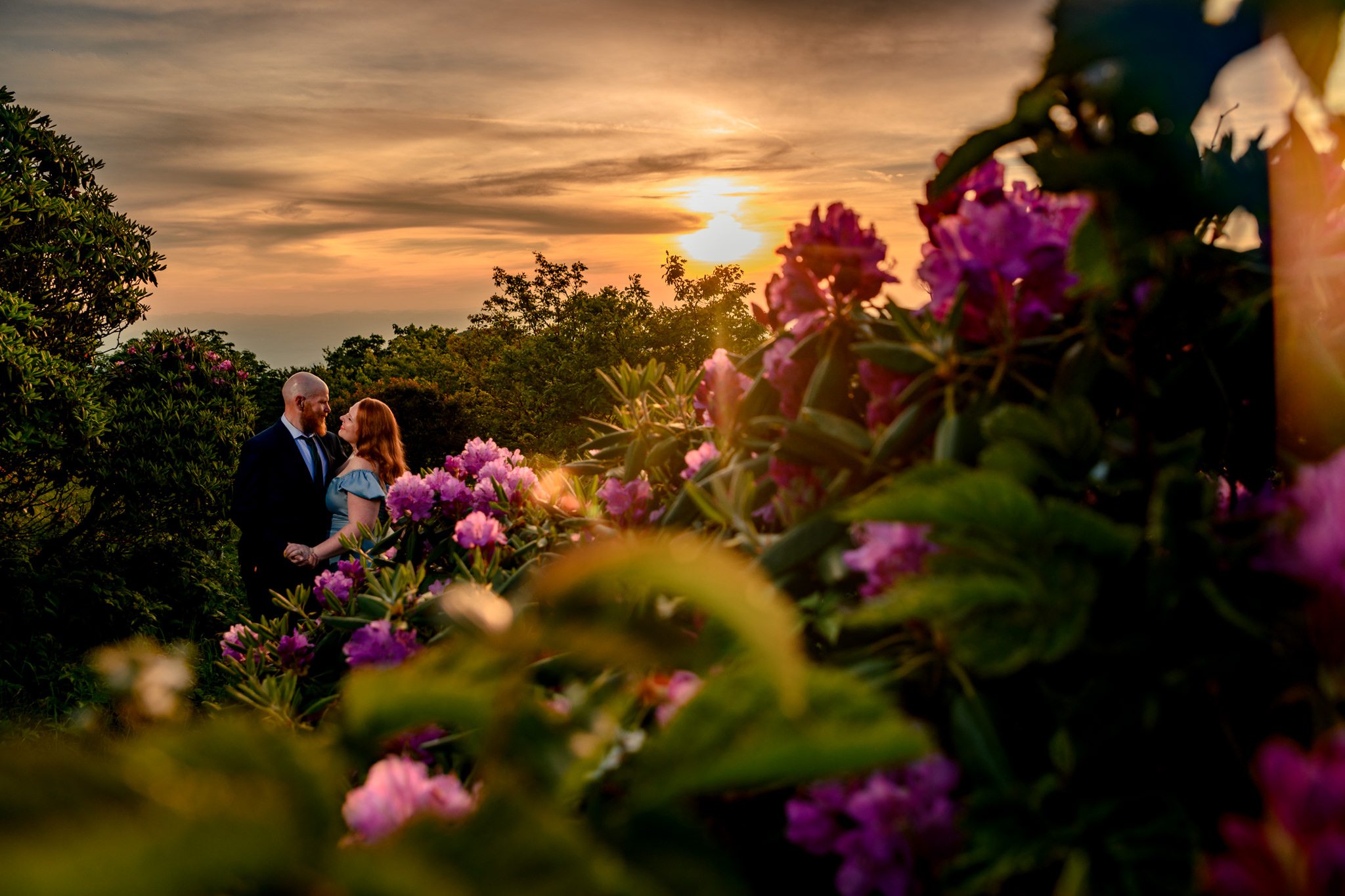 engaged couple standing in purple summer rhododendron thicket blooms at craggy gardens on the blue ridge parkway
