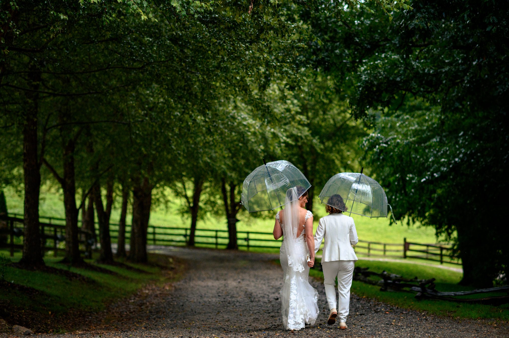 two brides walk down a wooded lane with clear umbrellas at the farm wedding venue in candler nc