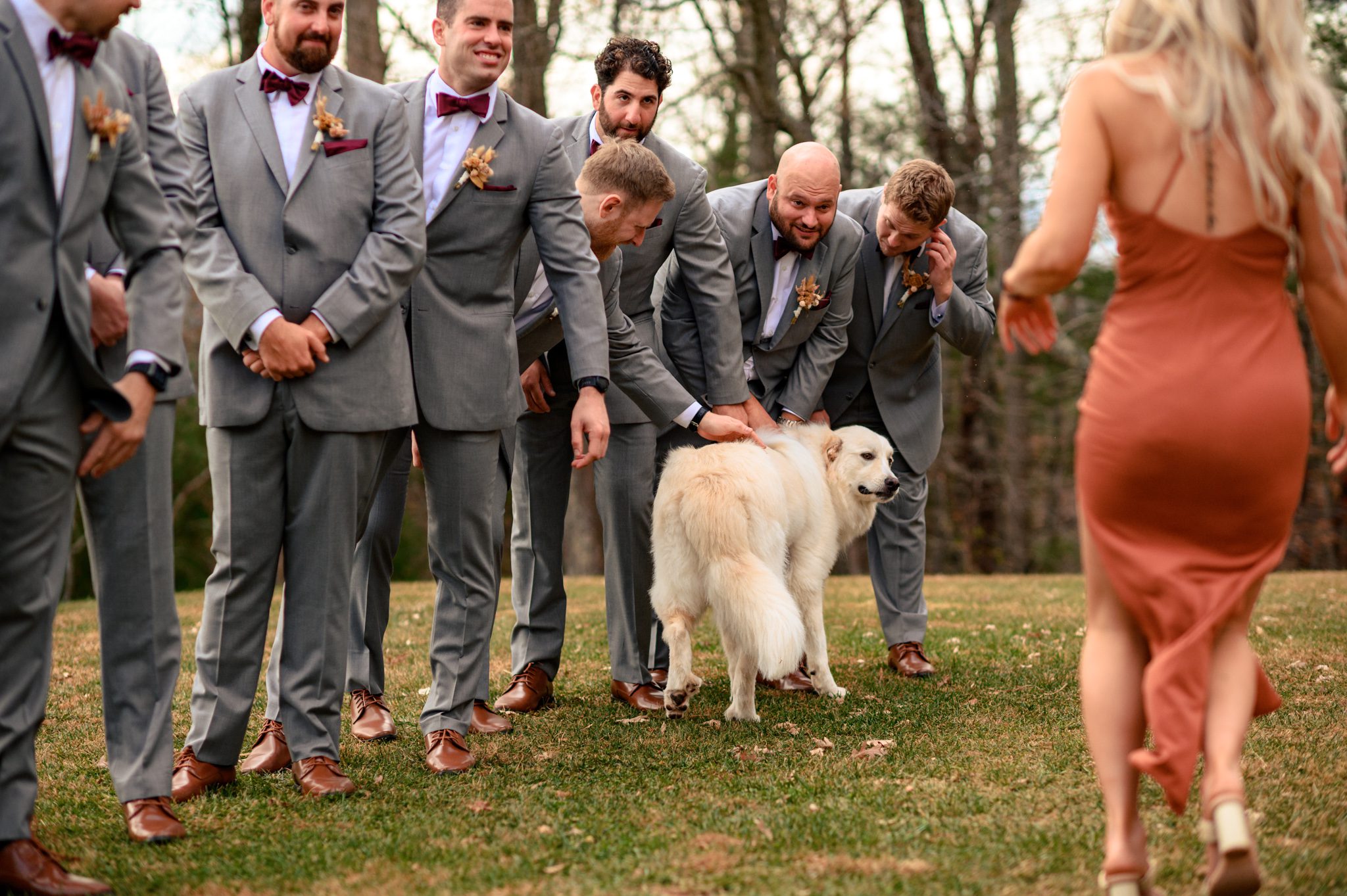 The brides dog gets loose during wedding ceremony and is stopped by the groomsmen