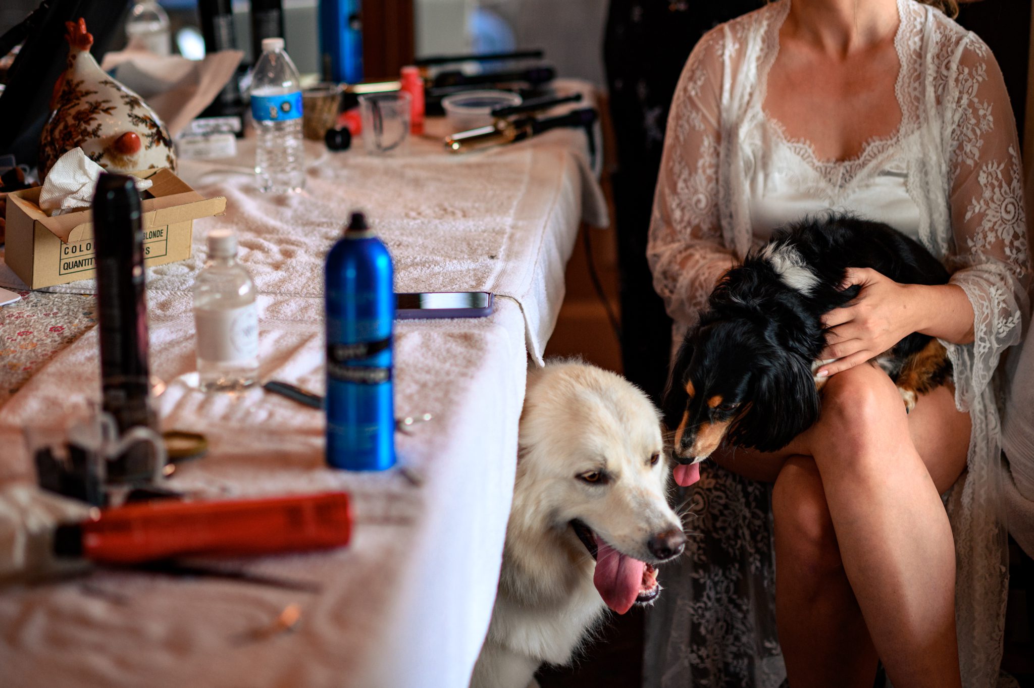 two dogs lick each other while bride gets ready inside the residence at The Ridge Asheville