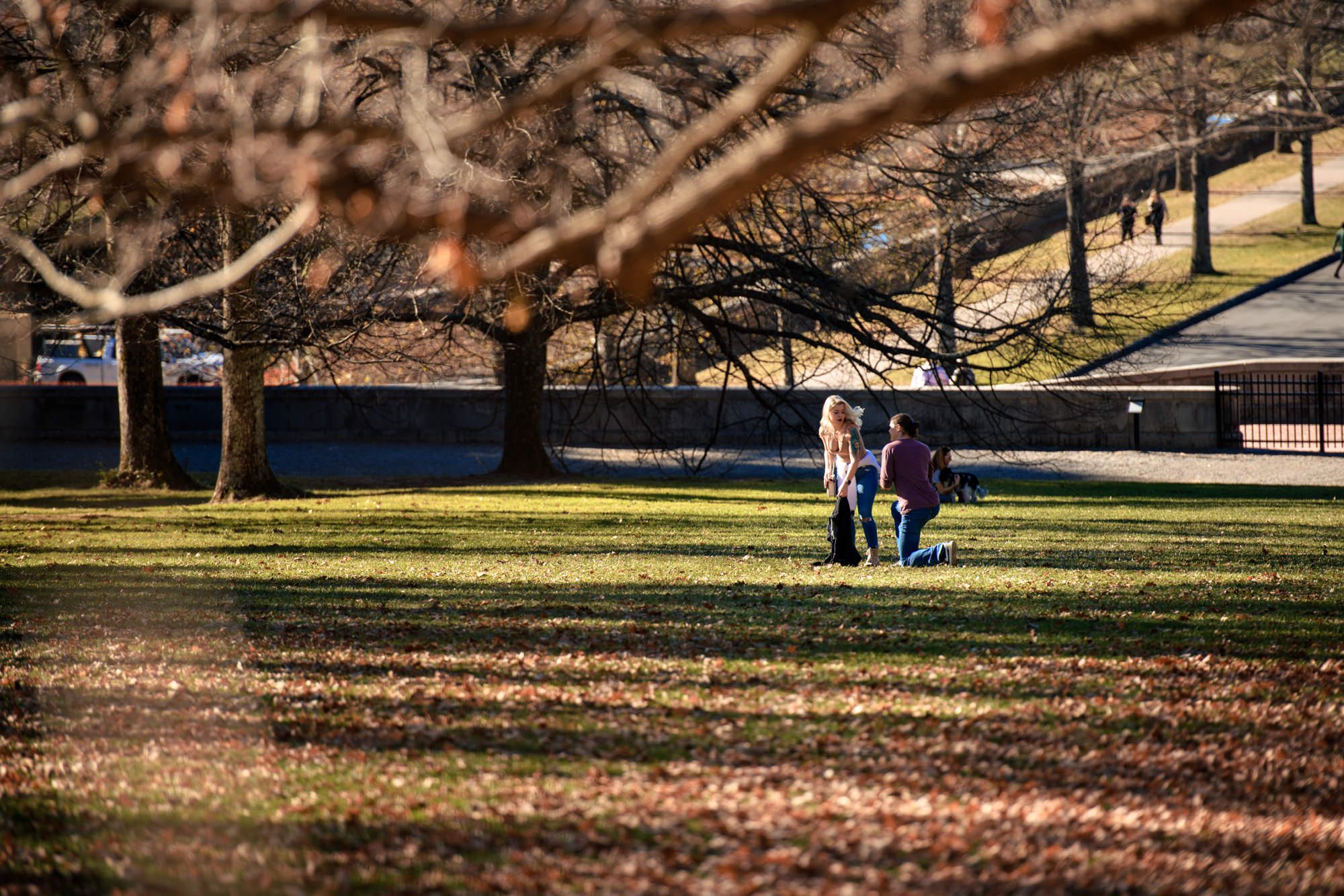 Jordan, down on one knee, proposing to a surprised Cassidy under the golden fall foliage at Biltmore Estate