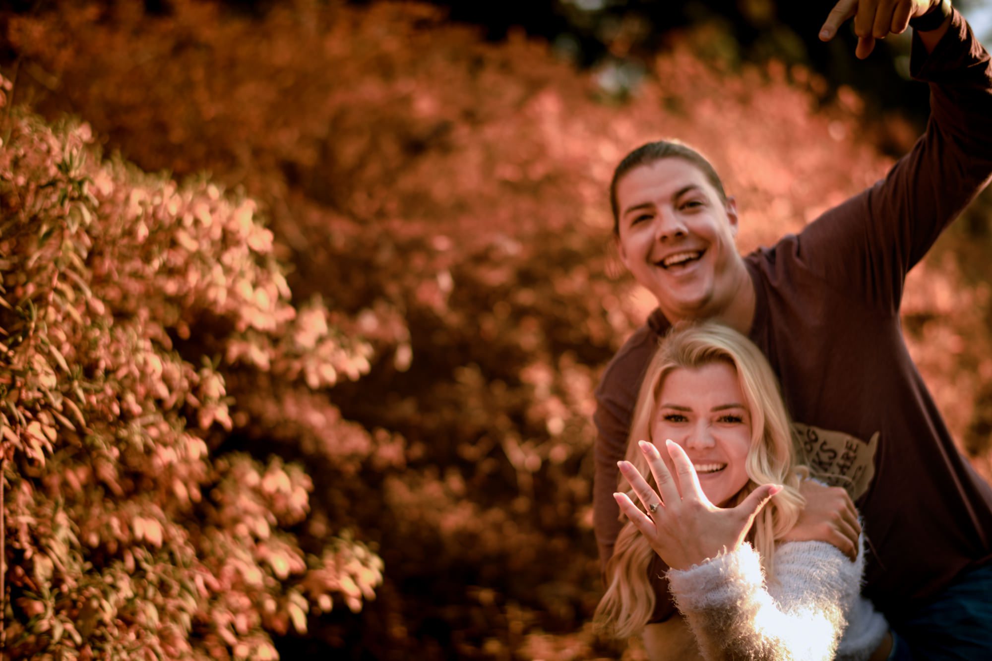 newly engaged couple take engagement photos around biltmore estate and gardens