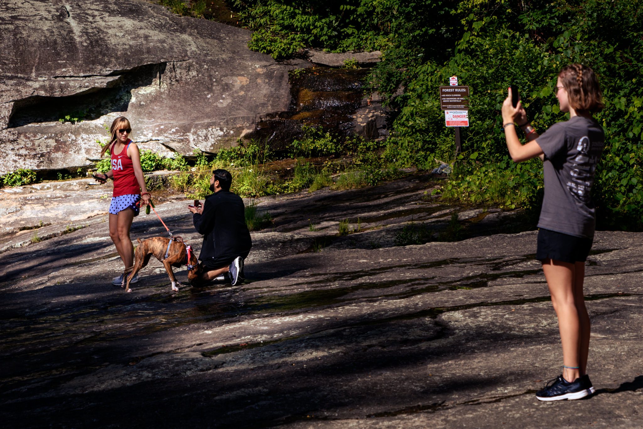 surprise proposal at tripe falls in dupont forest with engagement session