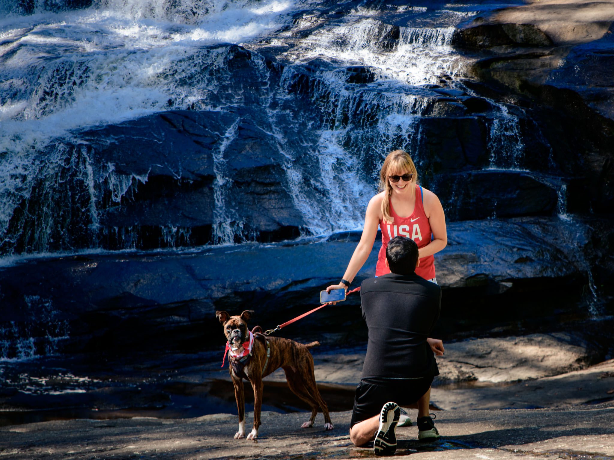 surprise proposal at tripe falls in dupont forest with engagement session