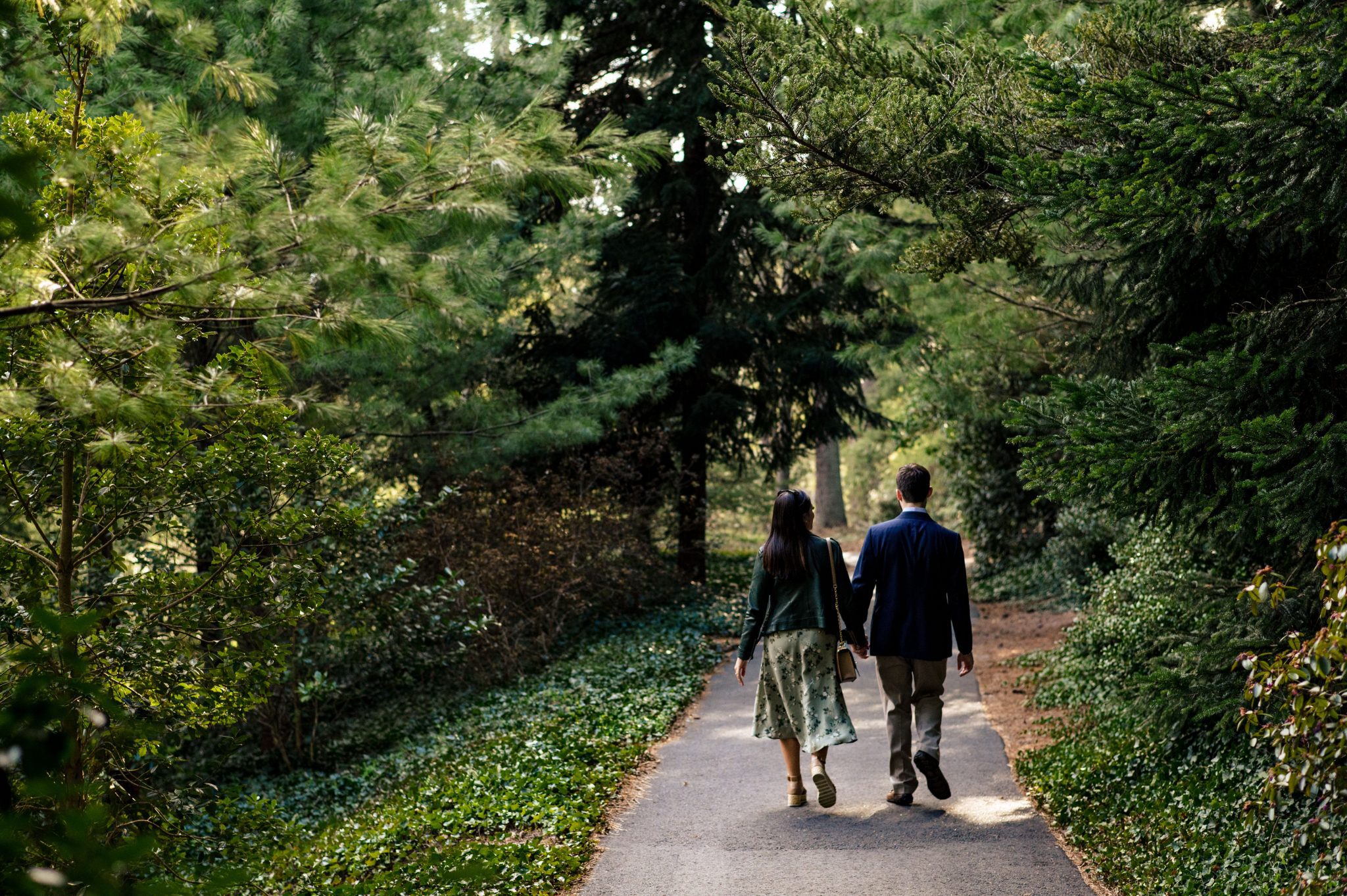 A couple's engagement photoshoot in the picturesque woods of Asheville, captured by a professional photographer.