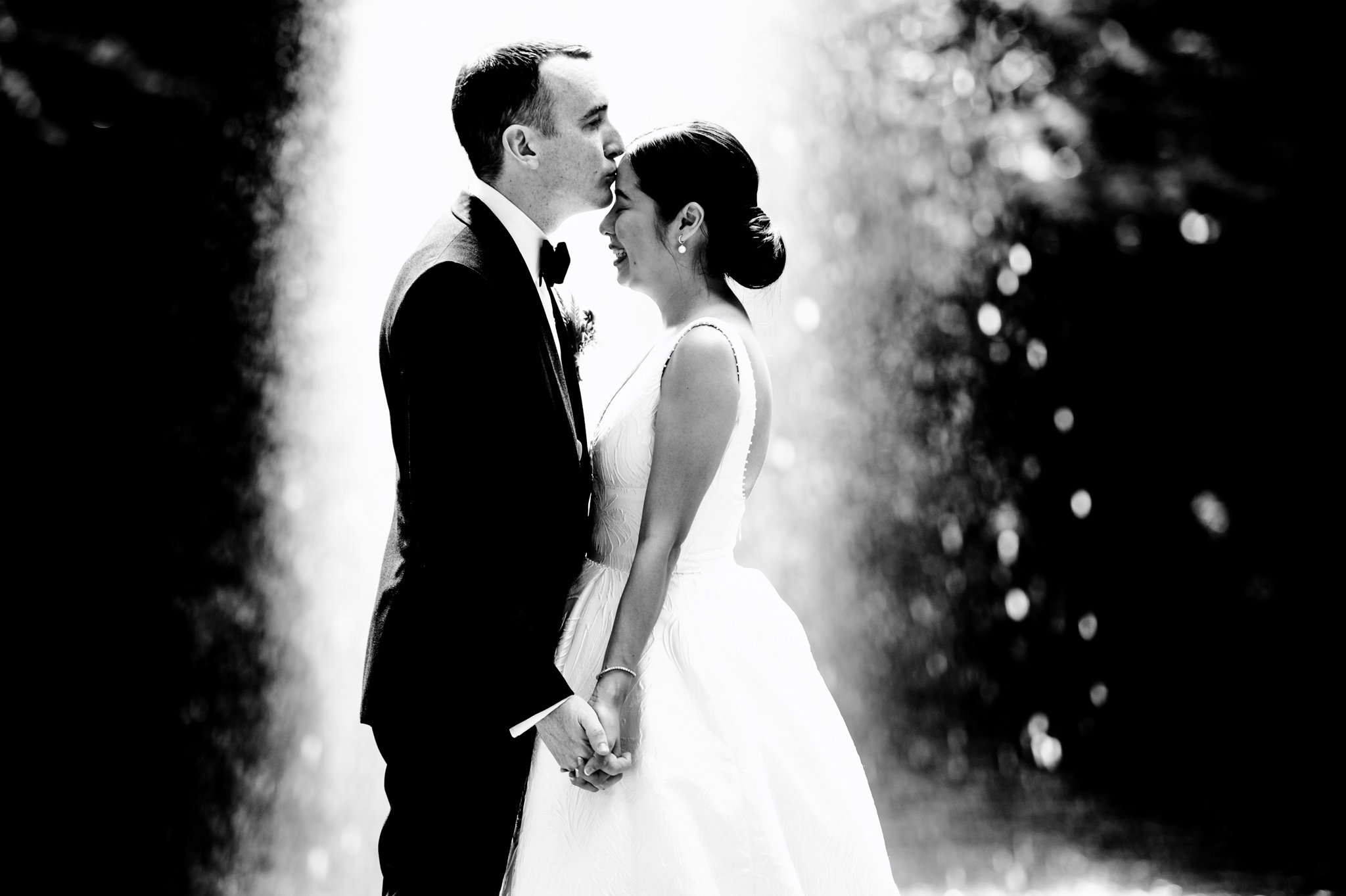 A bride and groom kiss in front of a waterfall.