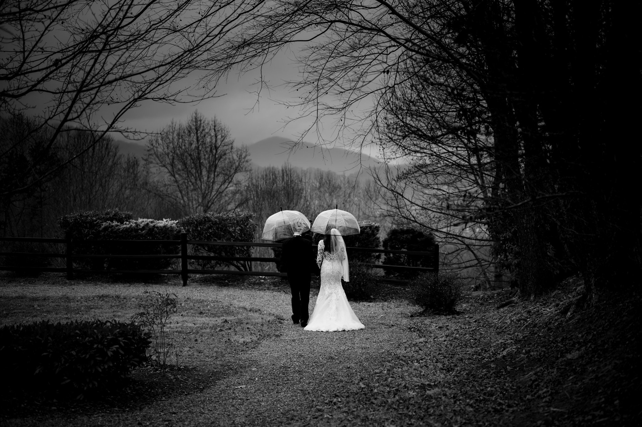 Asheville NC wedding photographer capturing a bride and groom walking down a path with umbrellas.
