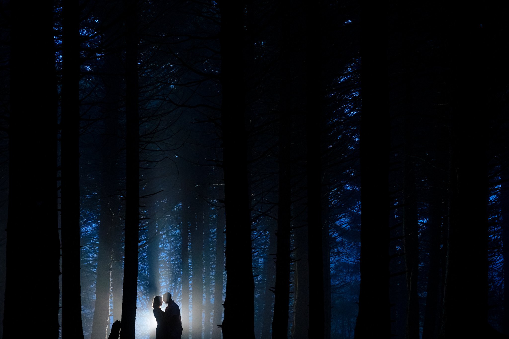 A man and woman standing in the woods at night captured by Asheville NC photographer, Michael Freas.